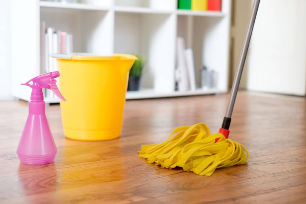 Professional cleaning services

